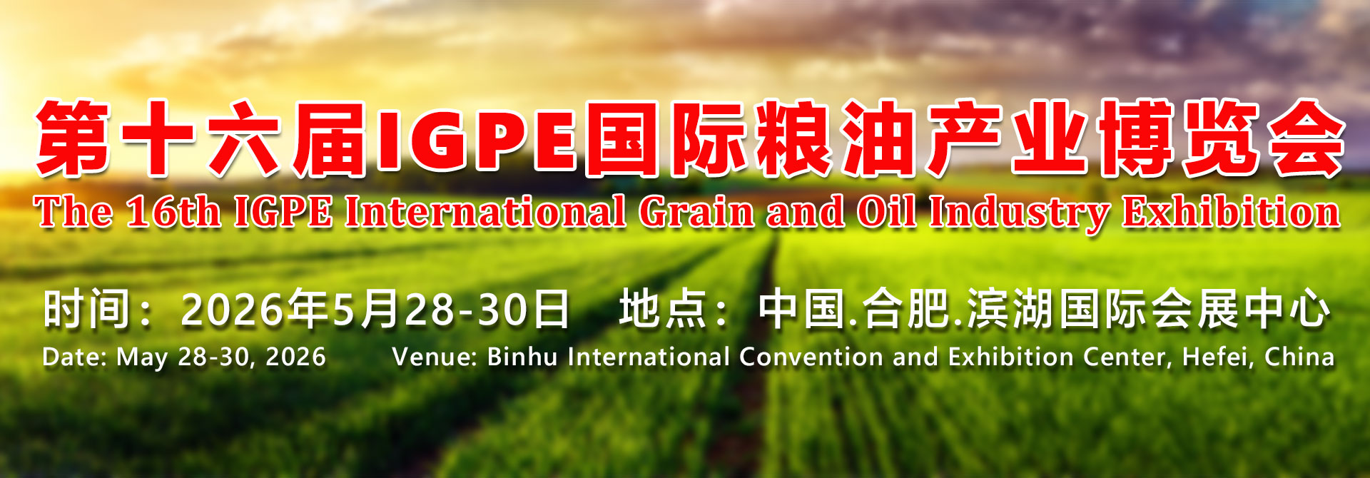 俄罗斯 农业部将未来一周的小麦出口关税调低12%-国际动态-粮油会展发展网【官方网站】第十六届IGPE中国粮油展【官网】粮油展【官网】粮油精品展【官网】大米及装备展【官网】面粉及装备展【官网】杂粮精品展【官网】