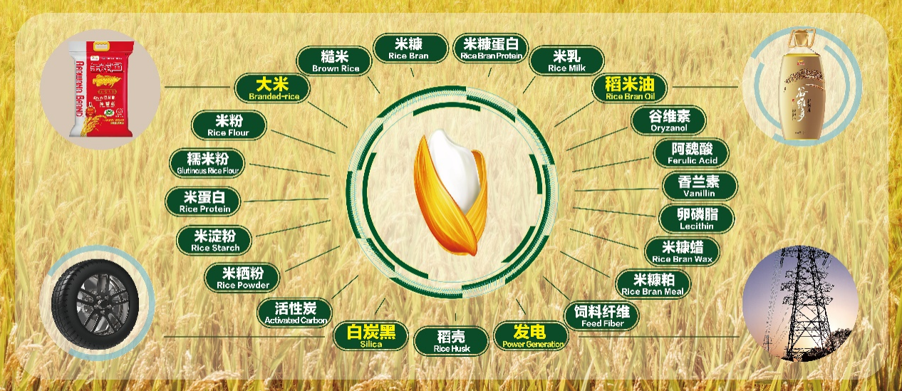 益海嘉里.png